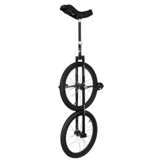 two wheel unicycle