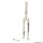 20 Zoll Gabel Impact Reagent Longneck 32mm Schwarz