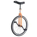 507mm (24 Inch) Unicycle Club UDC Black